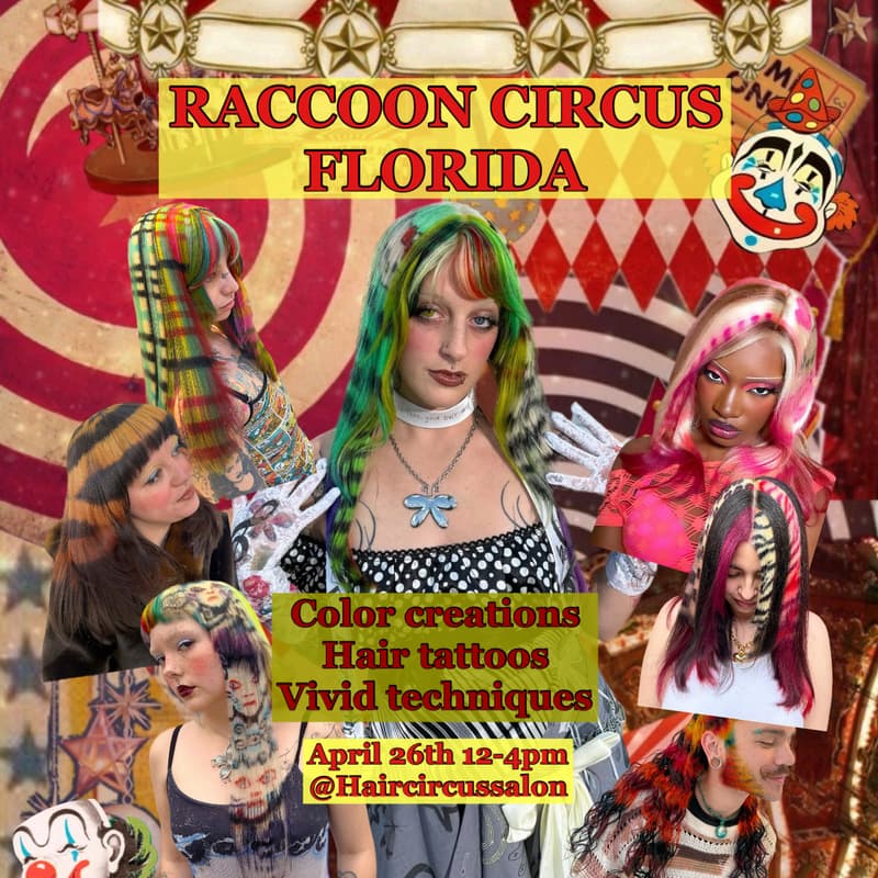 Cover Image for Raccoon Faries FL