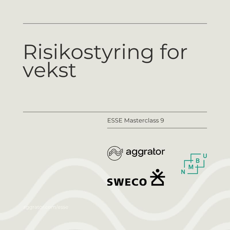Cover Image for ESSE 9: Risikostyring for vekst