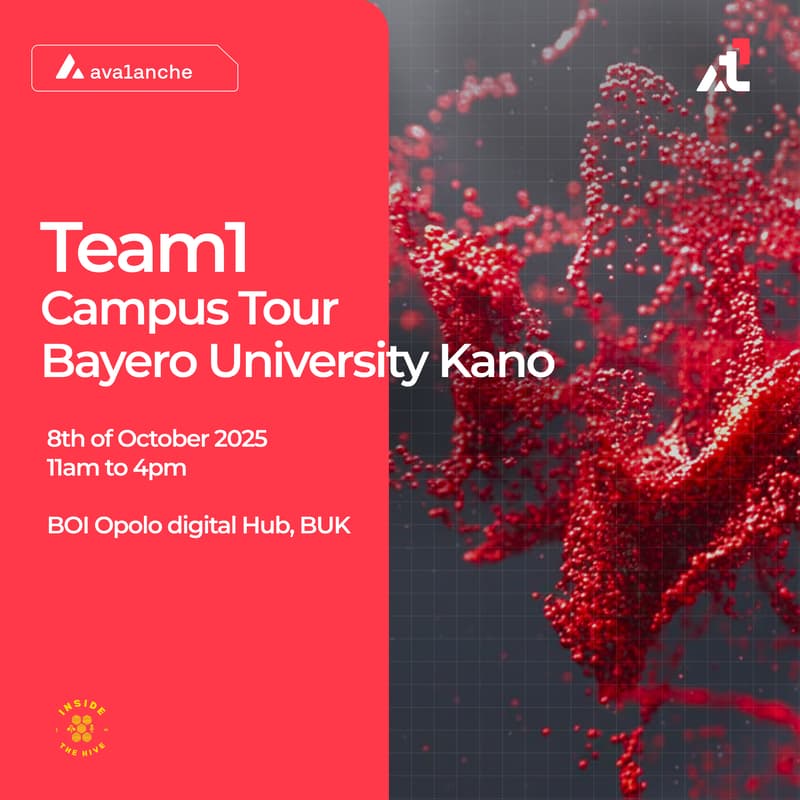 Cover Image for Team1 Campus Tour, Bayero University