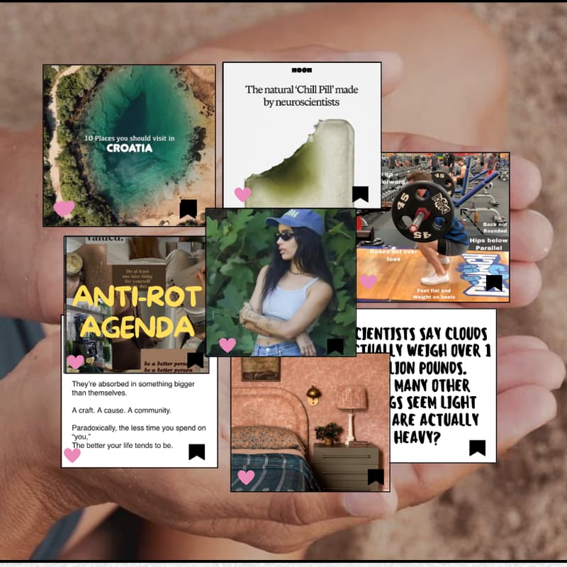 Cover Image for Favorite Saves