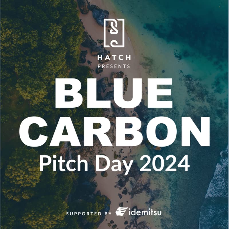 Cover Image for Blue Carbon Pitch Day 2024