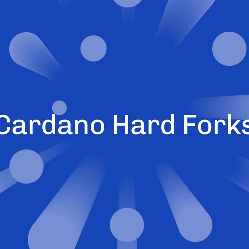 Cover Image for Hard Fork Working Group