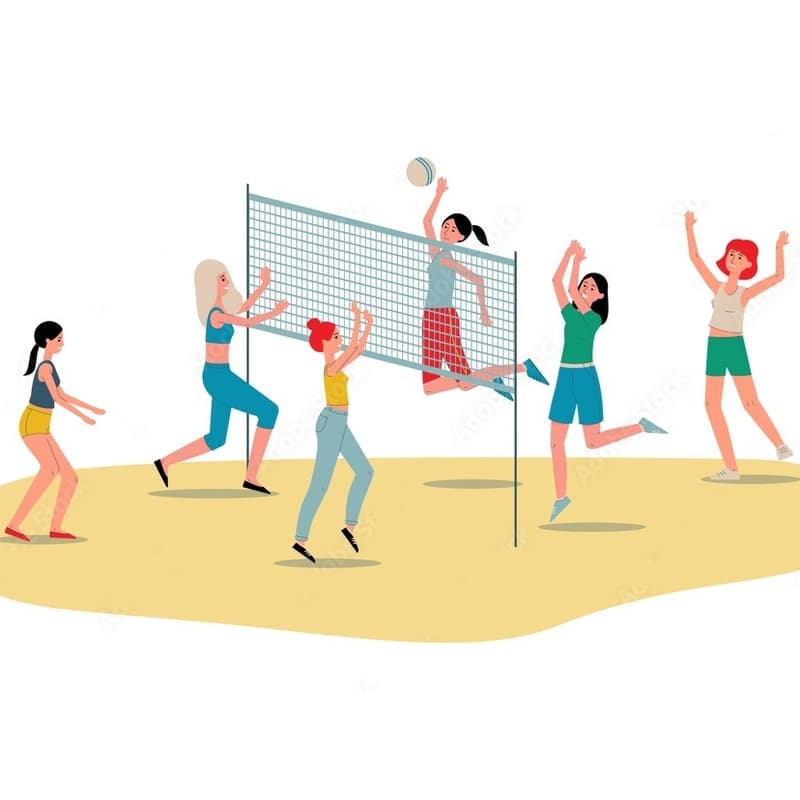 Cover Image for Volleyball at the Park