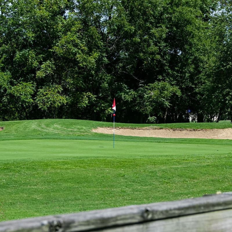 Cover Image for Townies Open [Day 1]