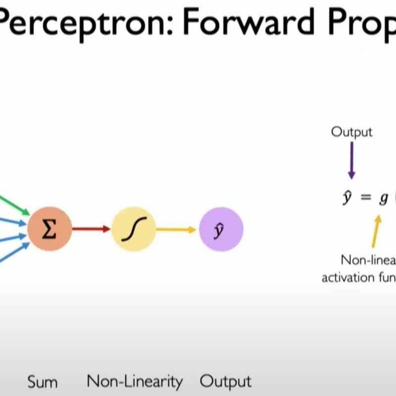 Cover Image for Perceptron Social Hour
