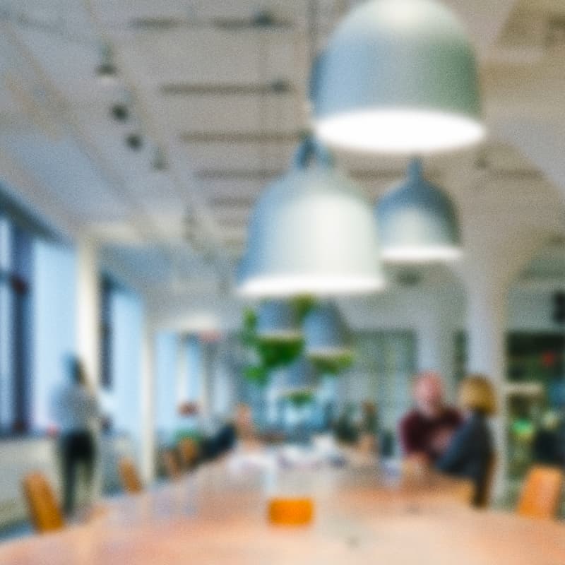 Cover Image for Leading through AI disruption