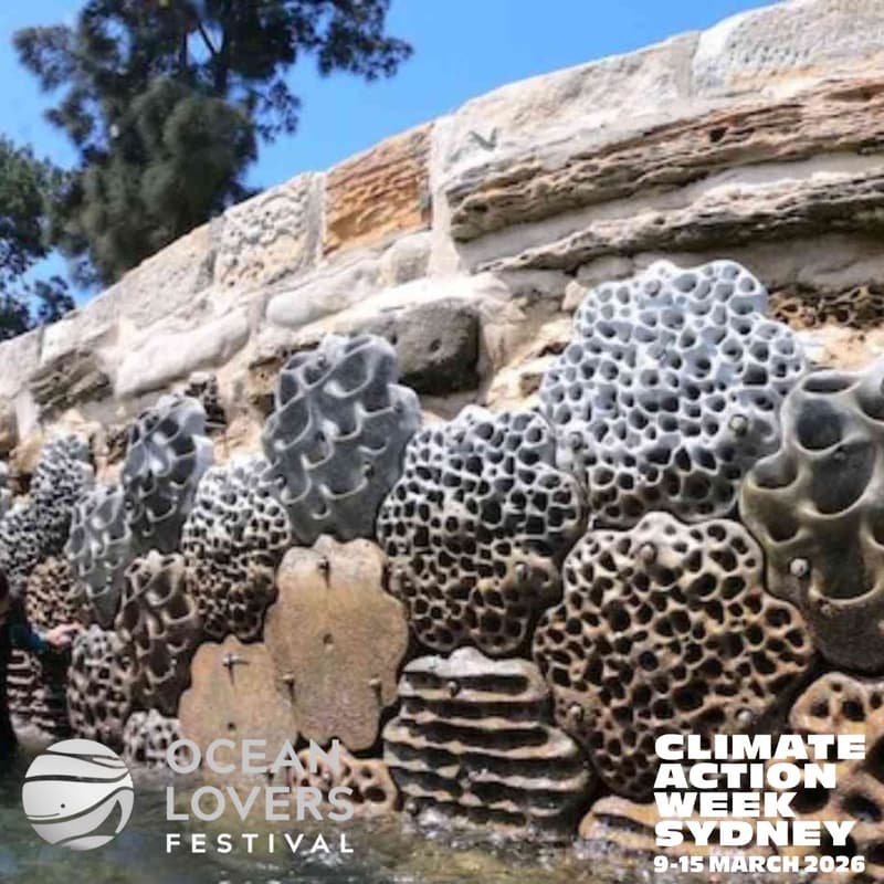 Cover Image for Living Seawalls Tour