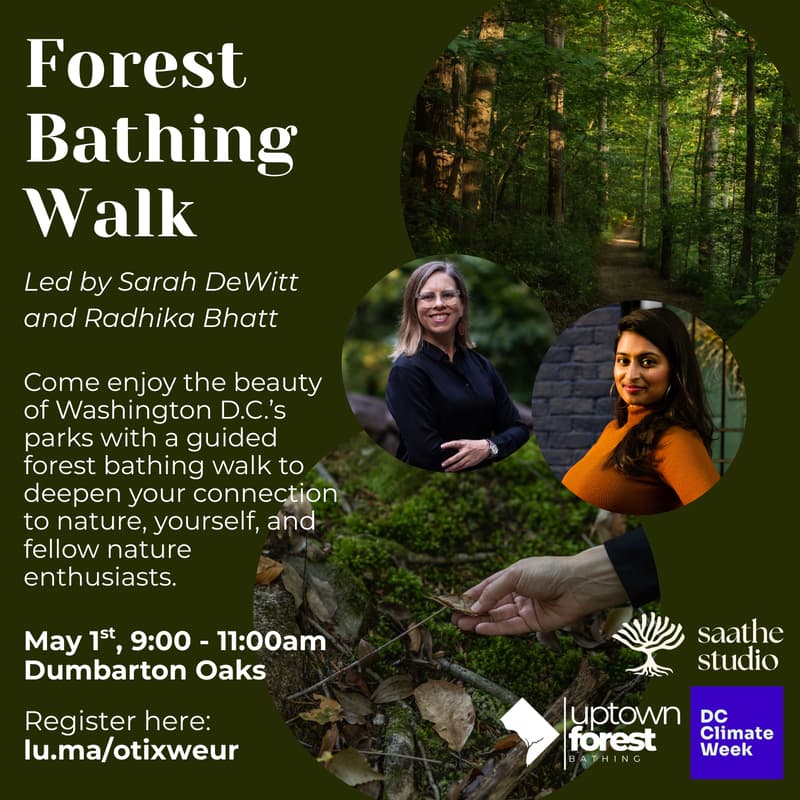 Cover Image for Forest Bathing Walk (DC Climate Week)
