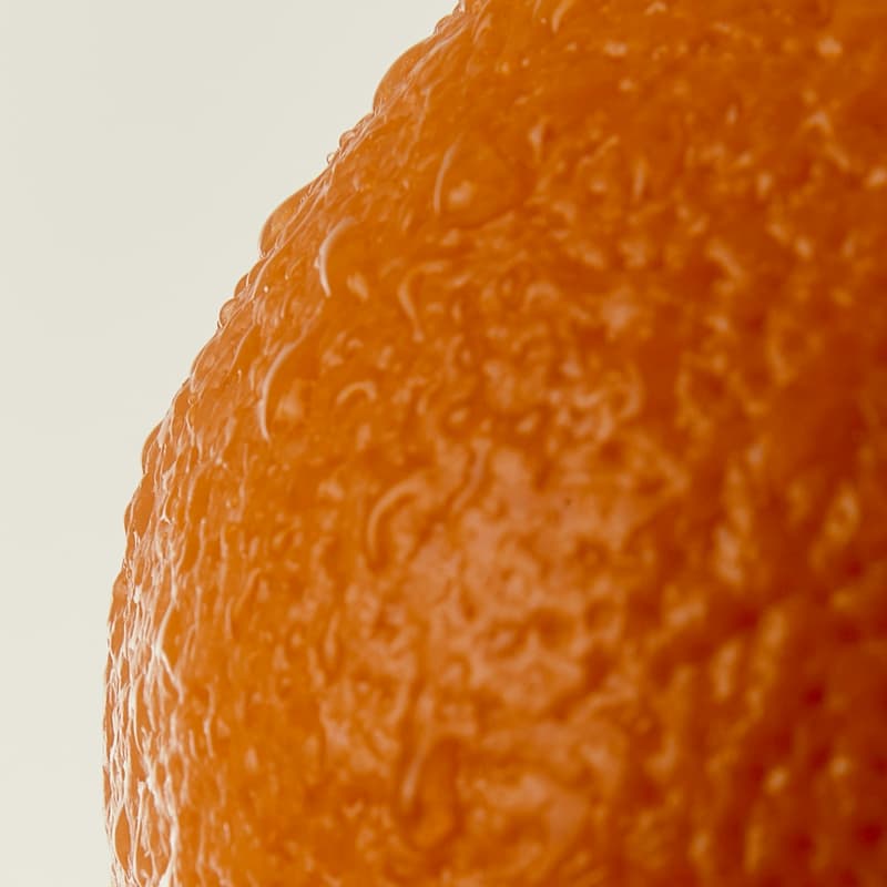 Cover Image for Speculative Citrus: Mapping the Self Through Scent