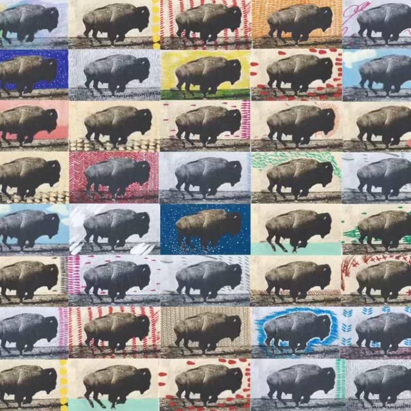 Cover Image for Nicole Buffett "Buffalo Running - The Abundance Agenda"