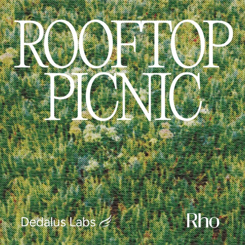 Cover Image for Rooftop Picnic