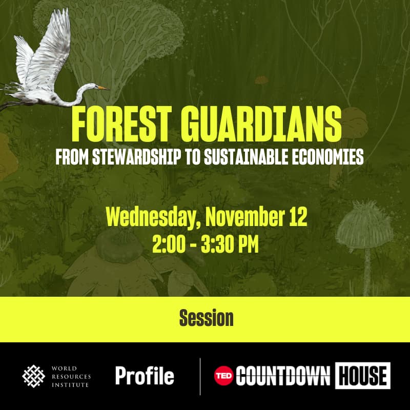 Cover Image for Forest Guardians: From stewardship to sustainable economies