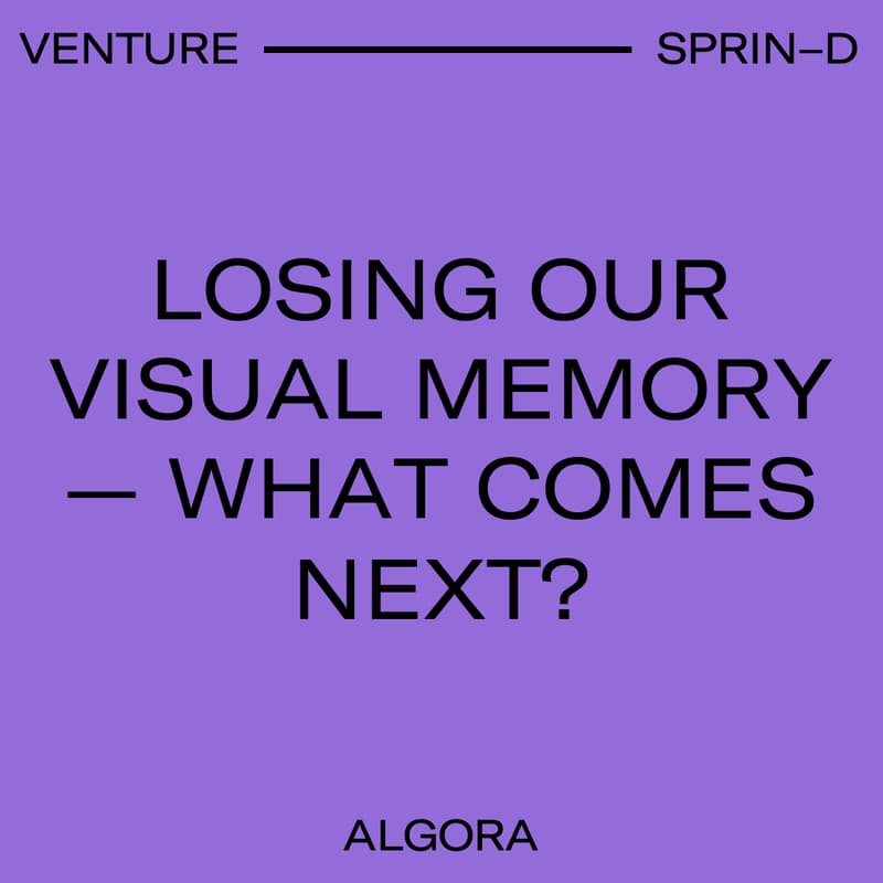 Cover Image for Losing our visual memory: What comes next?