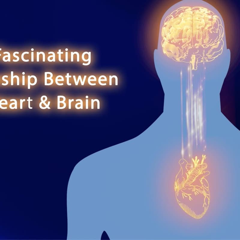 Cover Image for Training Hartscommunicatie: