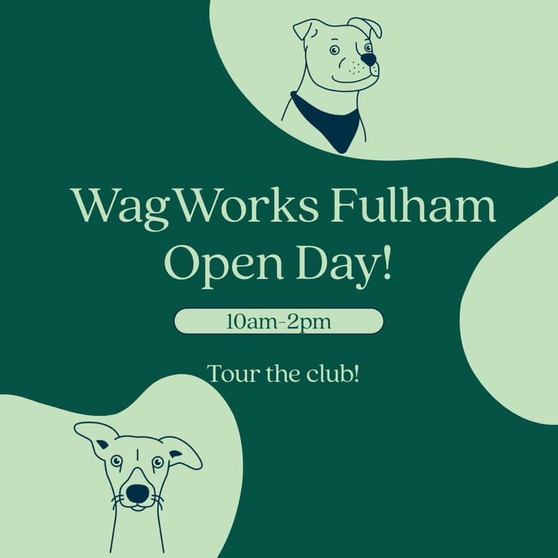 Cover Image for WagWorks Fulham Open Day