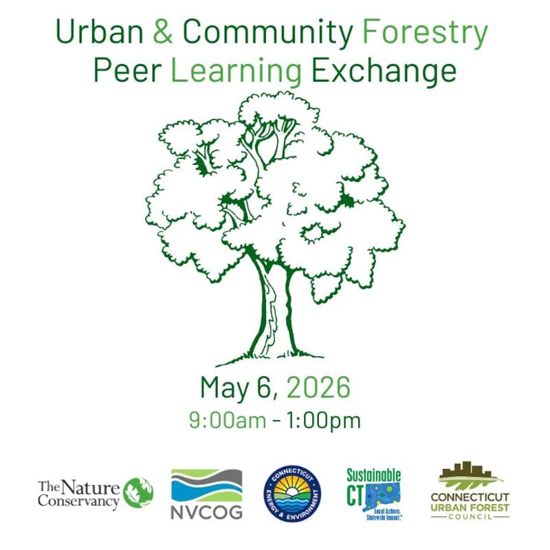 Cover Image for Naugatuck Valley Region: Urban and Community Forestry Peer Learning Exchange