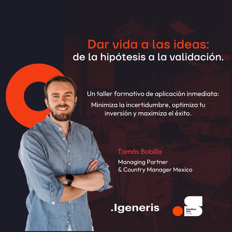 Cover Image for Dar vida a las ideas: de la hipótesis a la validación