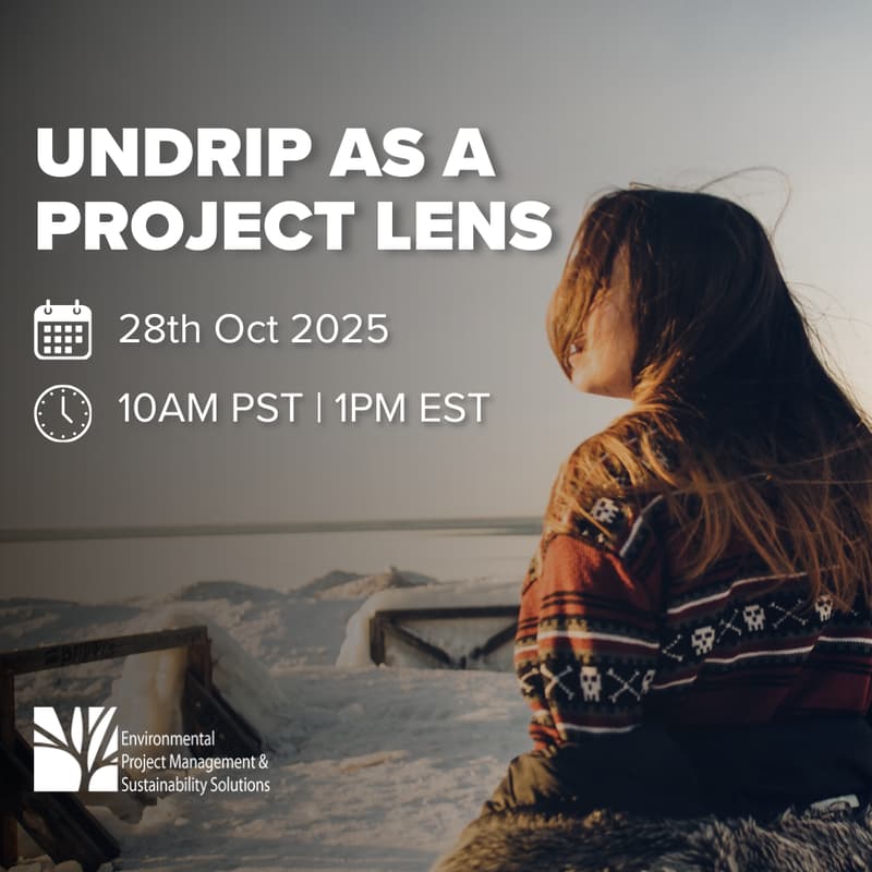 Cover Image for UNDRIP Through a Project Lens