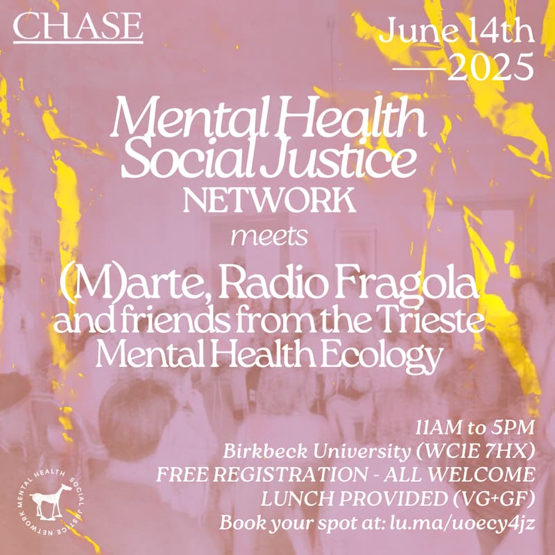 Cover Image for The Trieste Mental Health Ecology: beyond 'models' - MHSJ Network