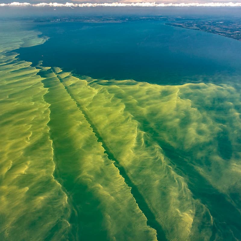 Cover Image for Stanford Sustainability Accelerator: Closing the Loop on Nitrogen Management - Policy Session