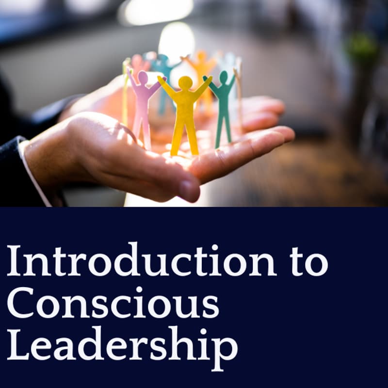 Cover Image for Intro to Conscious Leadership: Maximize Impact, Minimize Drama
