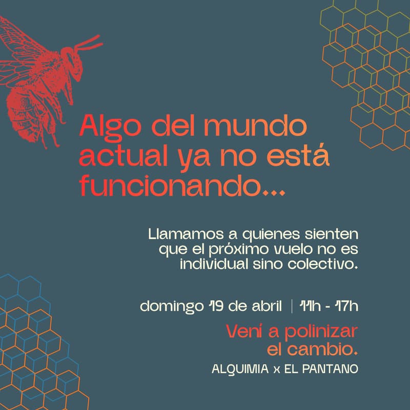 Cover Image for Alquimia colectiva