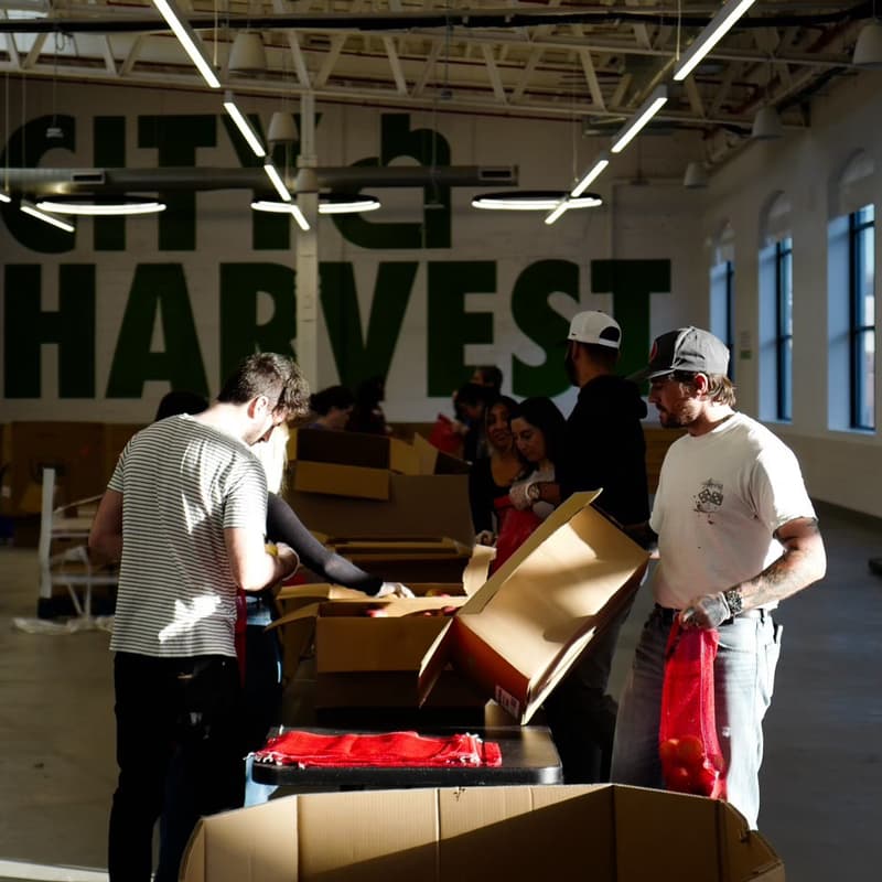 Cover Image for Pitch and Volunteer X City Harvest