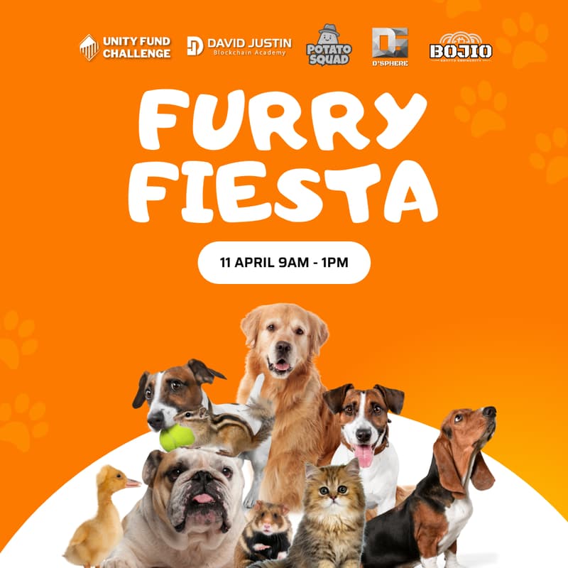 Cover Image for Furry Fiesta