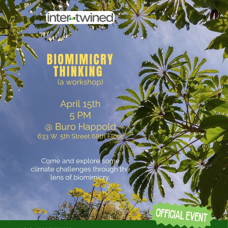 Cover Image for BIOMIMICRY THINKING (a workshop)