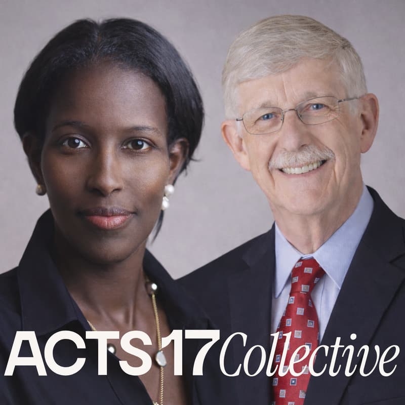 Cover Image for What Can Sustain Truth, Moral Courage, and Human Dignity in the Modern World?