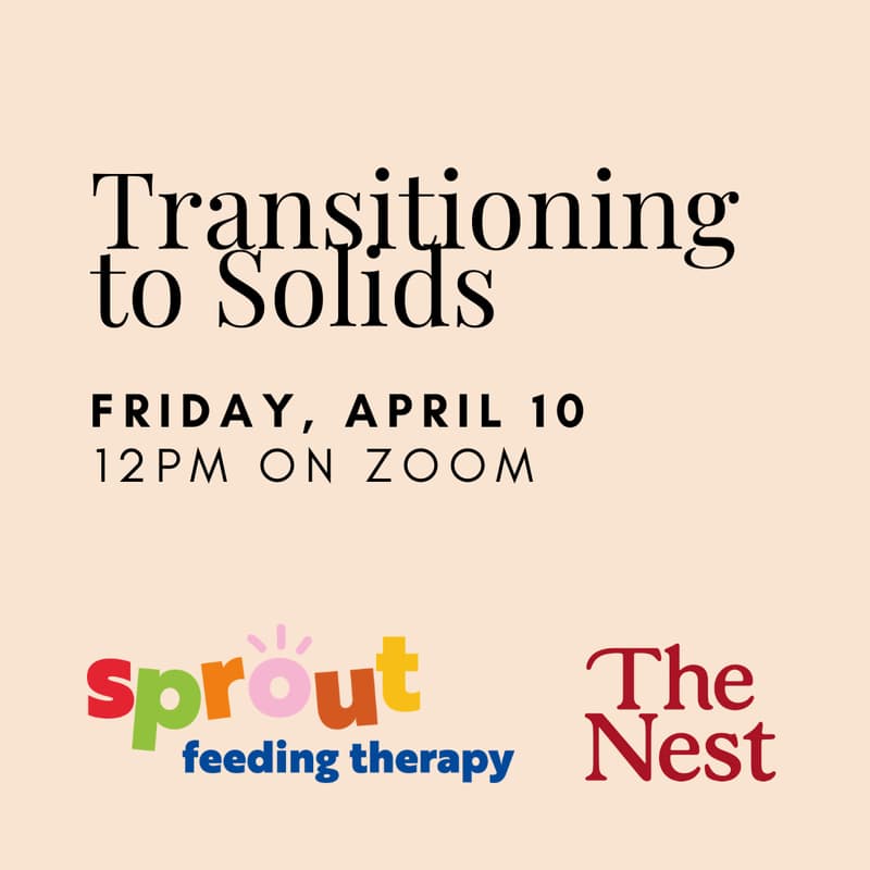 Cover Image for Workshop: Transitioning to Solids