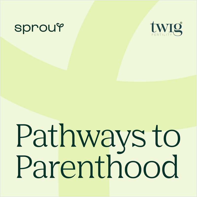 Cover Image for Pathways to Parenthood