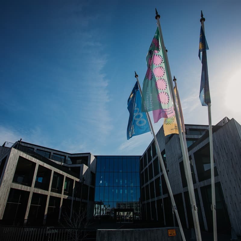 Cover Image for Founders in Focus Program