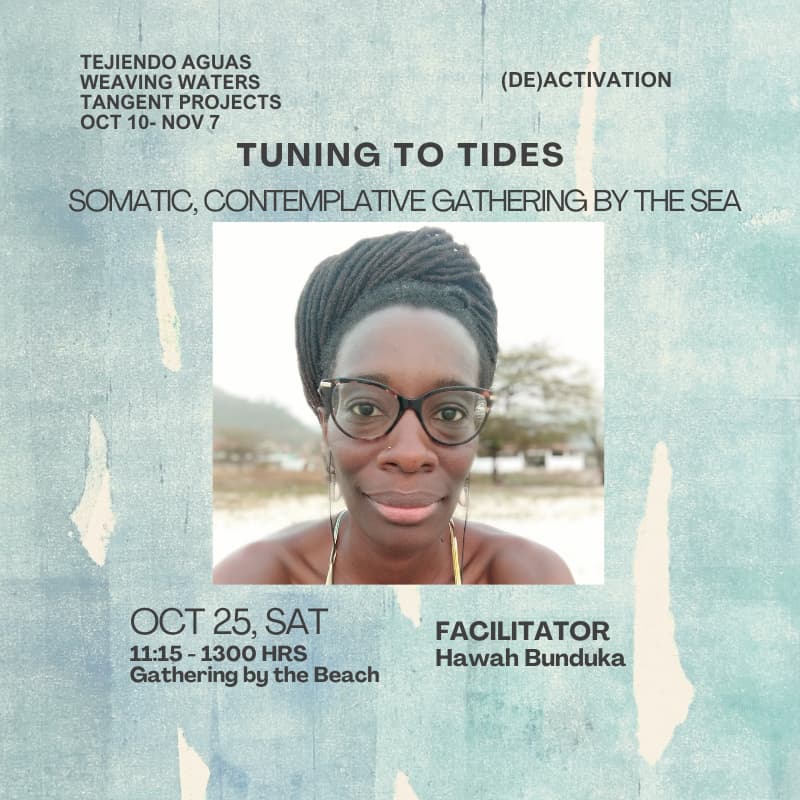 Cover Image for Tuning to Tide: A Somatic, Contemplative Gathering by the Sea