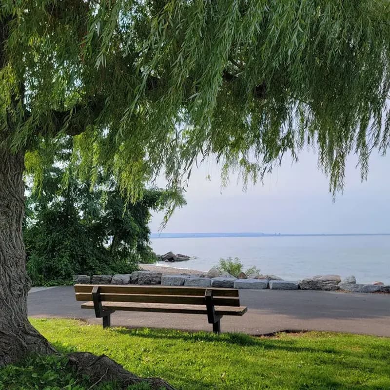 Cover Image for HamBurl Waterfront Trail -22KM
