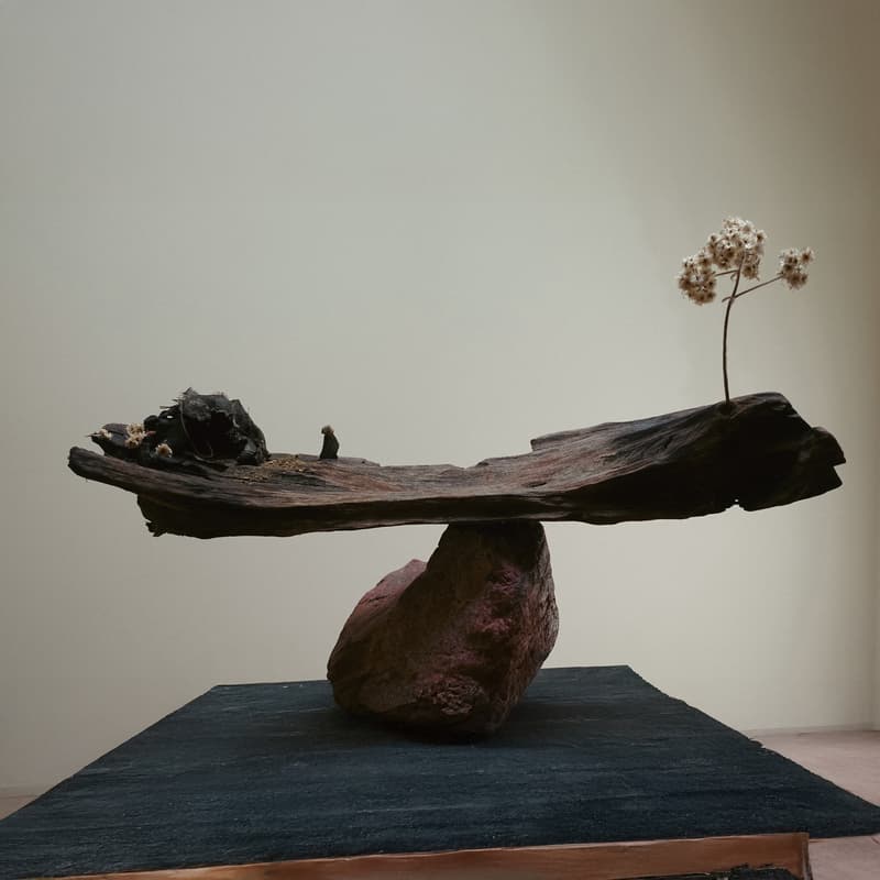 Cover Image for SHELTER: Art Experience with Robert LaPorta