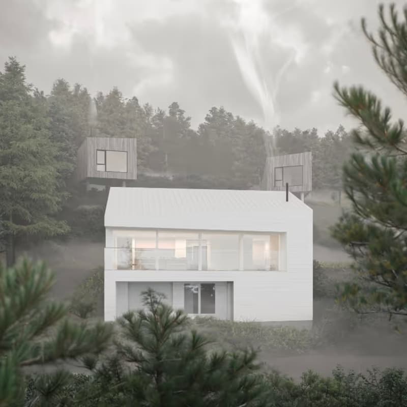 Cover Image for Field Trip: The Cape