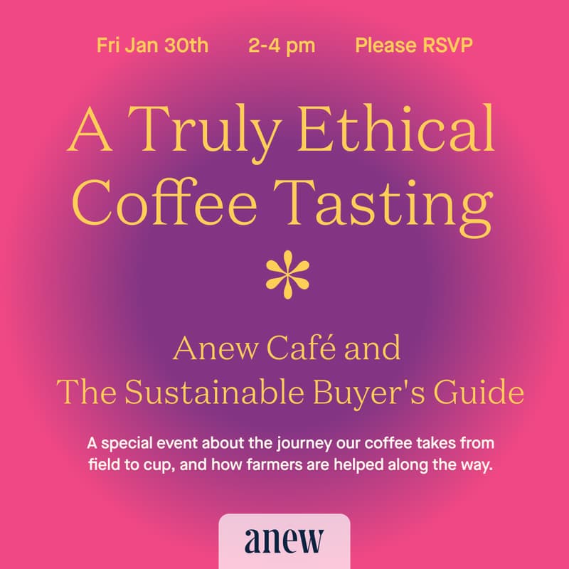 Cover Image for A Truly Ethical Coffee Tasting: Anew Café and The Sustainable Buyer's Guide
