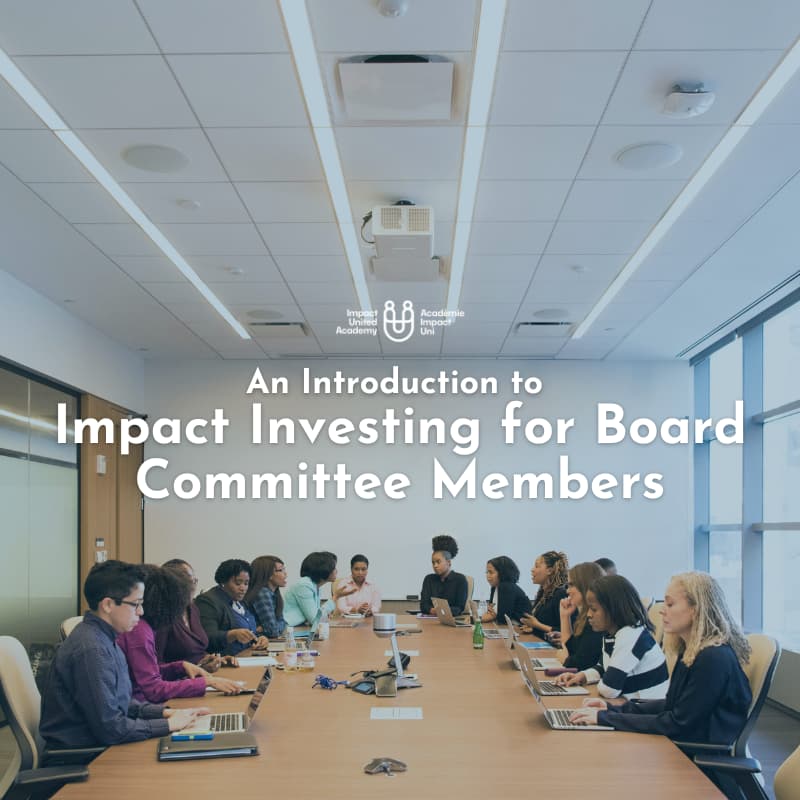 Cover Image for An Introduction to Impact Investing for Board Committee Members