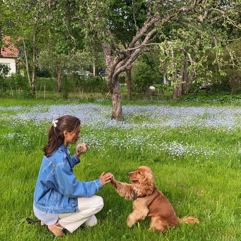Cover Image for Pigeons & Pups Day Out (Women only)