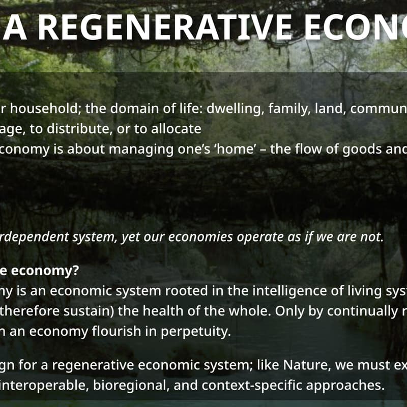 Cover Image for FIRST STEPS: Building a regenerative economy and civilization.