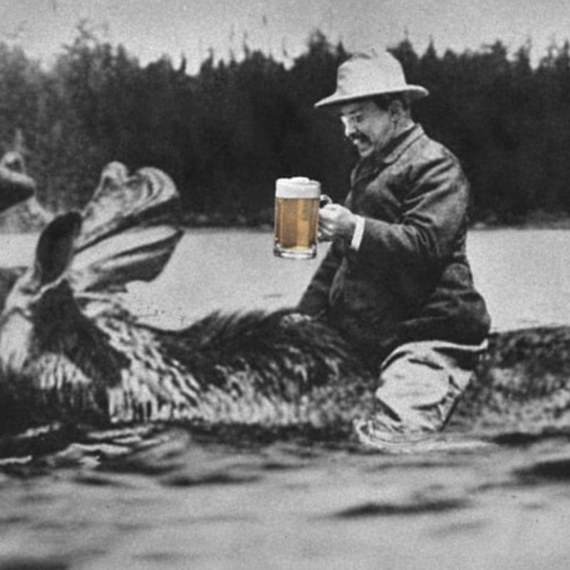 Cover Image for Bull Moose + Friends 🍻