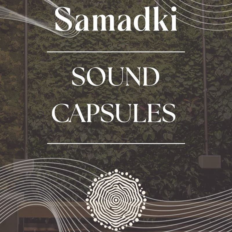 Cover Image for Sound Capsules