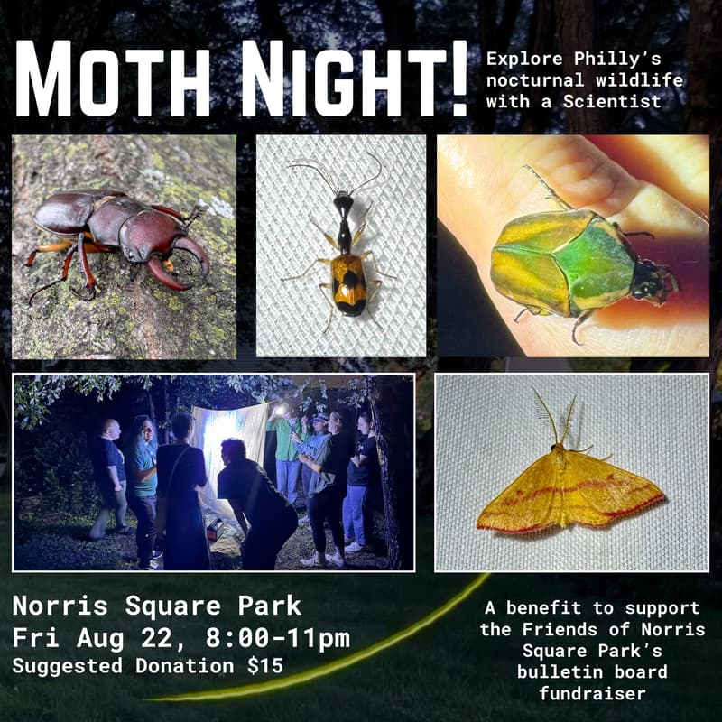 Cover Image for Moth Night at Norris Square Park Aug 22