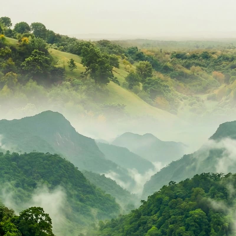 Cover Image for Landscapes of Justice