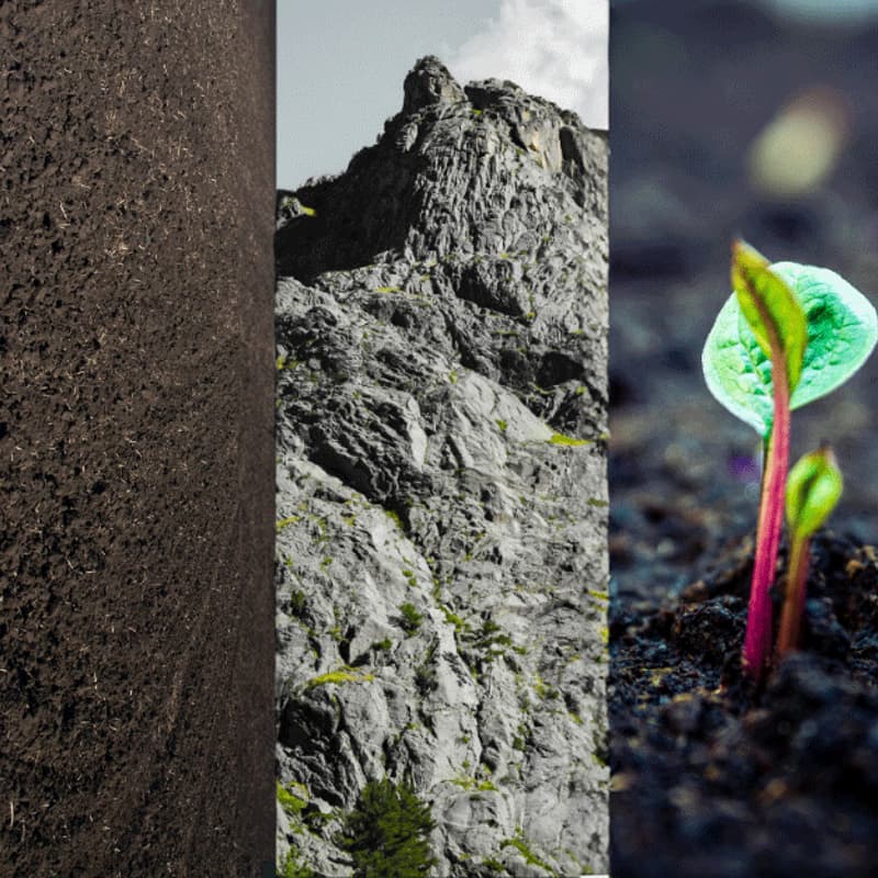 Cover Image for Carbon Removal Panel