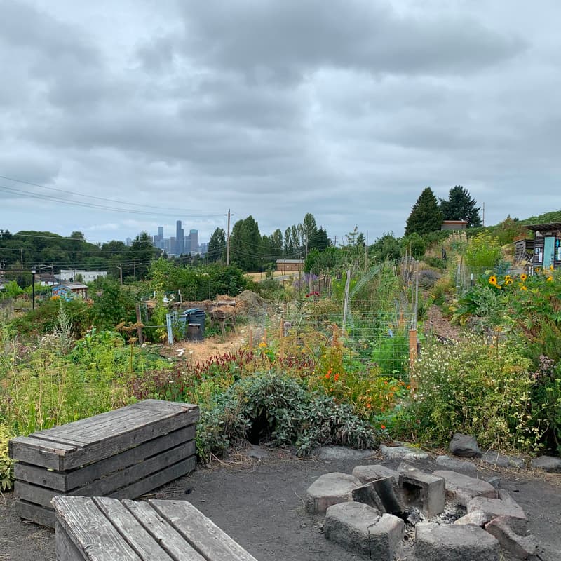 Cover Image for Volunteering afternoon at Beacon Food Forest with Seattle WAC Community