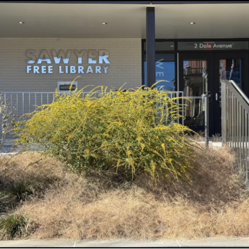 Cover Image for Tree Talk with Lisa Giersbach: Creating the Library's Native Landscape