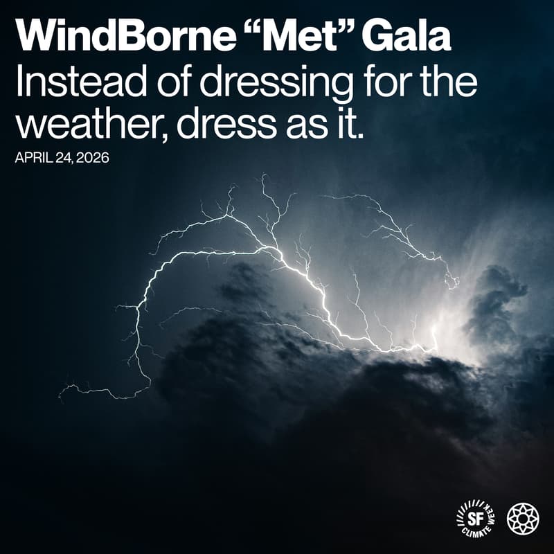 Cover Image for The "Met" Gala