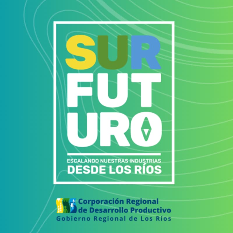 Foto de portada de Sur Futuro